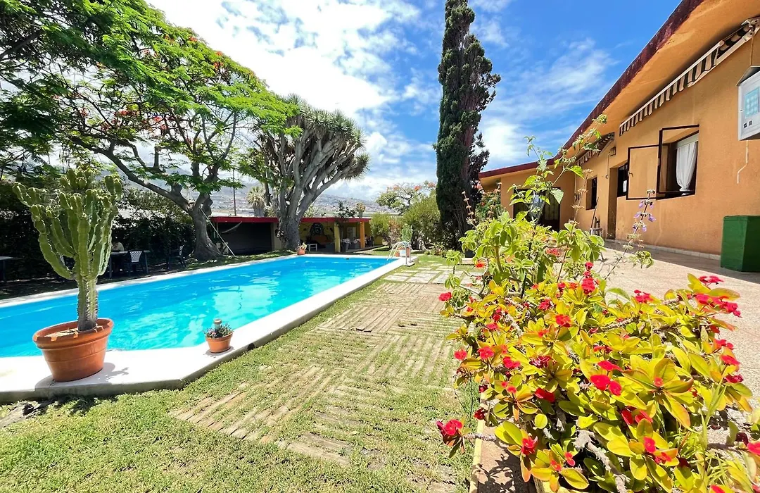 Lagarto Hostel Tenerife-1