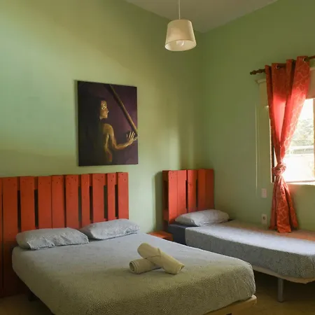 Lagarto Hostel Tenerife-2