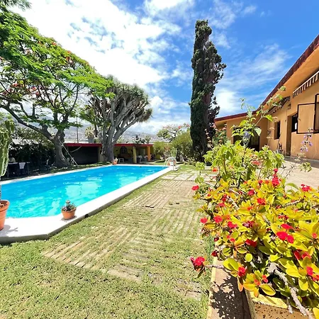 Lagarto Hostel Tenerife-3